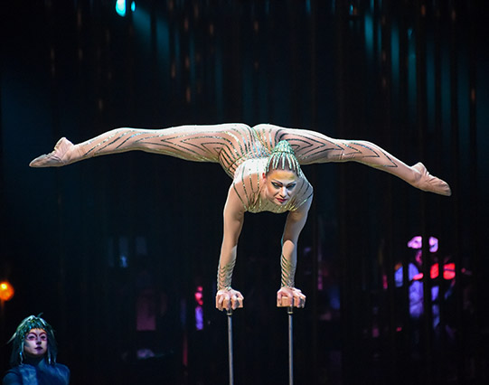 Cirque du Soleil – Varekai