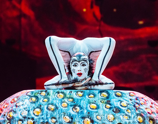CIRQUE DU SOLEIL – OVO