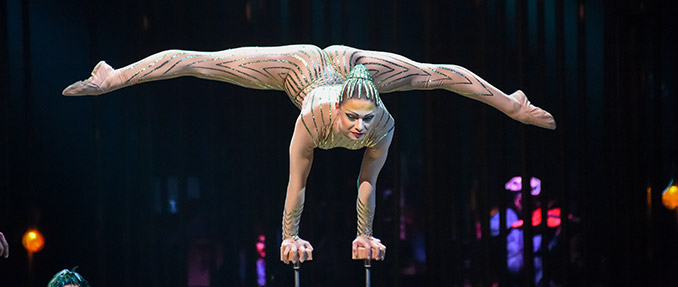 Varekai do Cirque Du Soleil com sessão extra dia 13 de Janeiro às 18h00